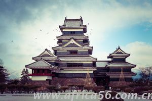 錯(cuò)過這段時(shí)間，國(guó)外貨代可不會(huì)理你