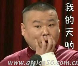 樸信惠成了拉線木偶？韓國政事果然比韓劇精彩！