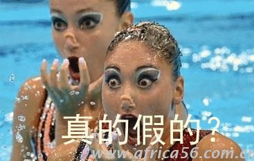 樸信惠成了拉線木偶？韓國政事果然比韓劇精彩！