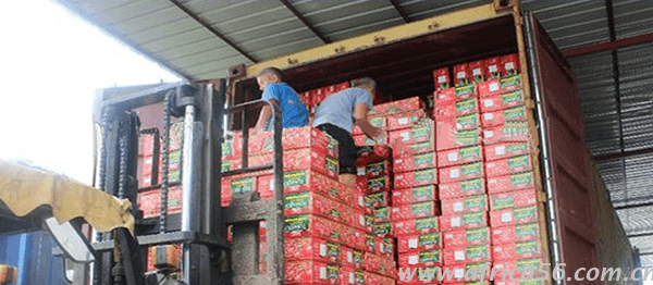 旭洲物流番茄醬出口須知