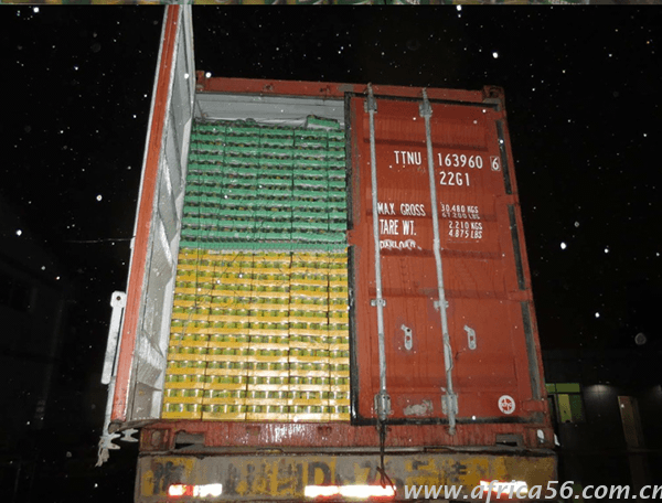 旭洲物流罐頭出口須知