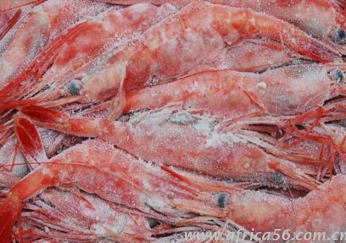 海鮮凍品出口注意事項_旭洲物流