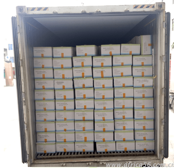 海鮮凍品出口注意事項_旭洲物流