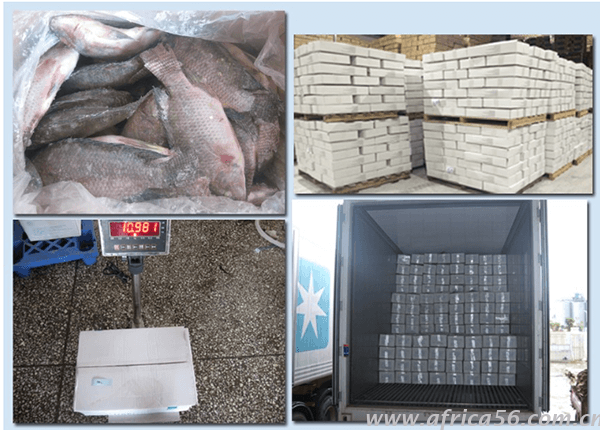 海鮮凍品出口注意事項_旭洲物流