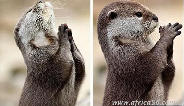 和新加坡人做生意都需要注意什么？_旭洲物流