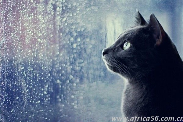 和俄羅斯人做生意，如何快速取得客戶信任_旭洲物流