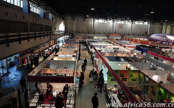 和埃及客戶做生意需要注意的二三事_旭洲物流