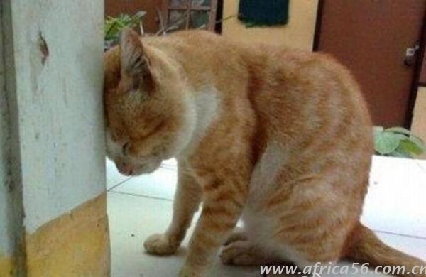 貨物到達(dá)目的港才發(fā)現(xiàn)提單出錯(cuò)？粗心程度旭洲物流只服你！