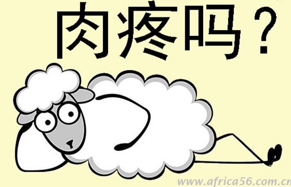 貨物到達(dá)目的港才發(fā)現(xiàn)提單出錯(cuò)？粗心程度旭洲物流只服你！