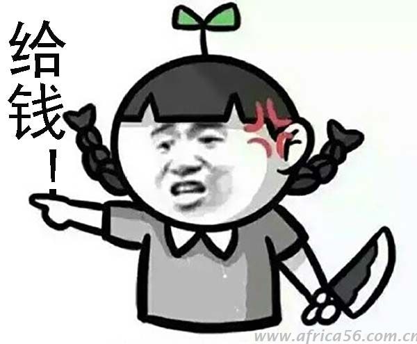 為什么總是你提不到箱？難道真的束手無策？_旭洲物流