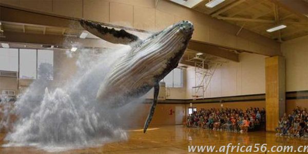 未來，這些東西會是爆品，VR、AR、MR歸類原則 _旭洲物流