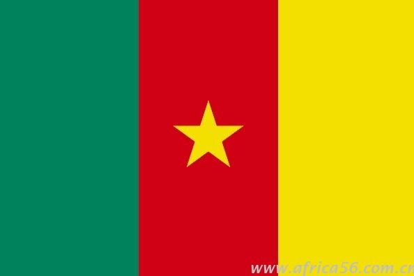 喀麥隆ECTN證書辦理案例_非洲海運_貨運代理