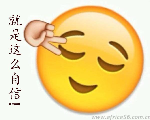 船長，我把提單丟了，你可以放貨給我嗎？_旭洲物流