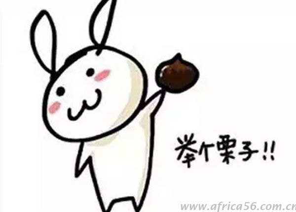 海運提單是你想換就能換的嗎？_旭洲物流