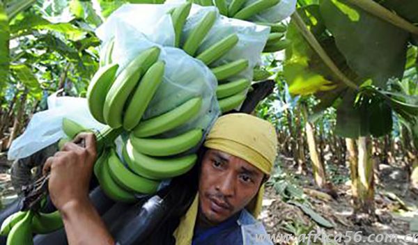 和菲律賓有貿(mào)易往來(lái)，你得知道這些_旭洲物流