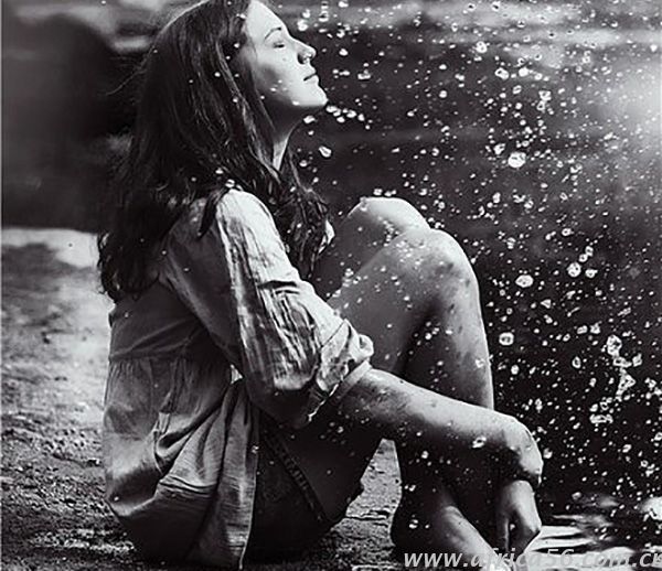 中國(guó)的信任危機(jī)，罪魁禍?zhǔn)字挥序_子嗎？_旭洲物流