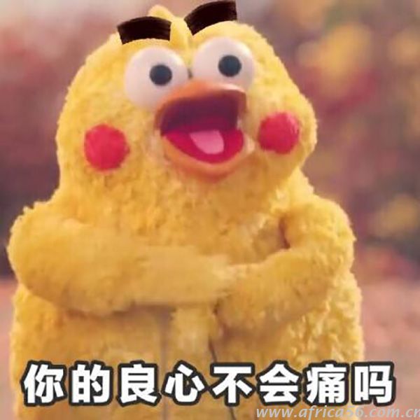 18家船公司稱下調(diào)碼頭操作費，但是費用真降了嗎？_旭洲物流