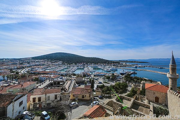 如果你弄的到的話，我并不是很介意，聽(tīng)說(shuō)蛇羹很補(bǔ)