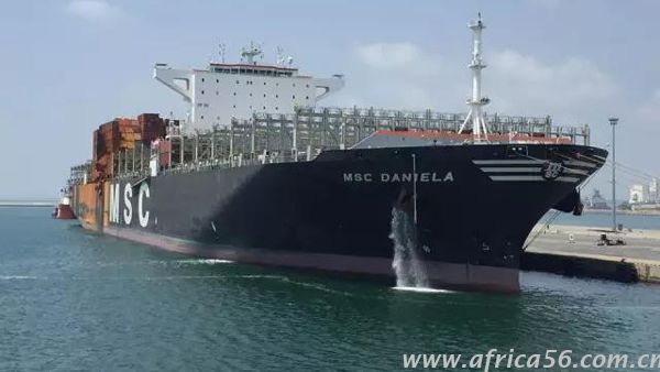 msc daniela船起火 msc daniela船起火