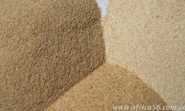 你的貨物可能得去指定口岸出口報關(guān)了_旭洲物流