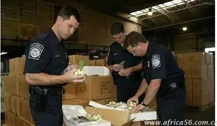 中巴友誼地久天長，中巴貿易命運多舛_旭洲物流