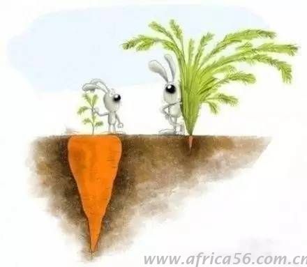 旭洲物流用幾張圖片給你一些人生哲學(xué)