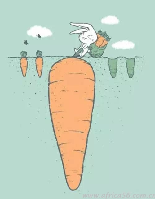 旭洲物流用幾張圖片給你一些人生哲學(xué)