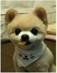 你曾說要混出個(gè)樣子，后來你成了這個(gè)狗樣子_旭洲物流