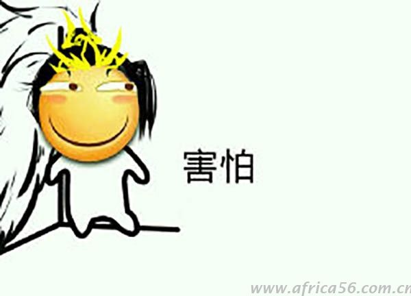 印度，你嚇到中國霸霸了...... _旭洲物流