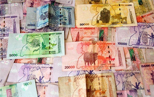 出口烏干達，有哪些注意事項，收匯是否安全？_旭洲物流