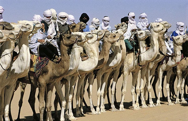 旭洲物流根據(jù)我們?cè)诜侵藓＿\(yùn)23年的國(guó)際貨代經(jīng)驗(yàn)，為你們分享開(kāi)發(fā)阿爾及利亞客戶的注意事項(xiàng)以及出口阿爾及利亞收匯問(wèn)題。