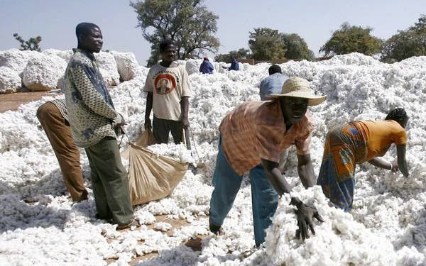 布基納法索概況及出口須知_非洲海運(yùn)_旭洲物流 布基納法索概況及出口須知_非洲海運(yùn)_旭洲物流