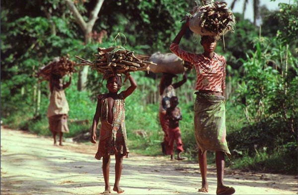 中非基礎(chǔ)情況_非洲海運(yùn)_旭洲物流 中非基礎(chǔ)情況_非洲海運(yùn)_旭洲物流