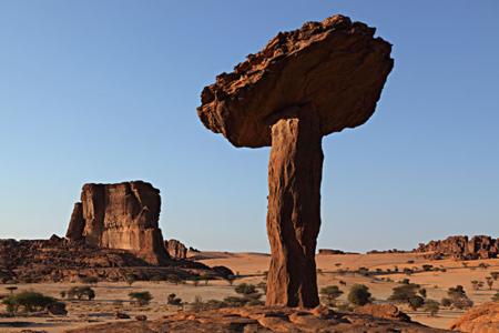 乍得出口市場詳細情況_非洲海運_旭洲物流