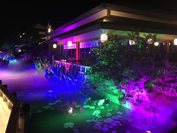 旭洲物流2018團體旅游_非洲海運_旭洲物流 旭洲物流2018團體旅游_非洲海運_旭洲物流