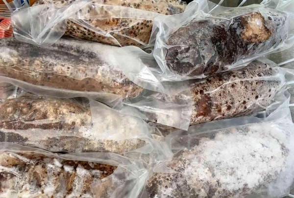 凍品類進(jìn)口所需資料_非洲海運(yùn)_旭洲物流 凍品類進(jìn)口所需資料_非洲海運(yùn)_旭洲物流