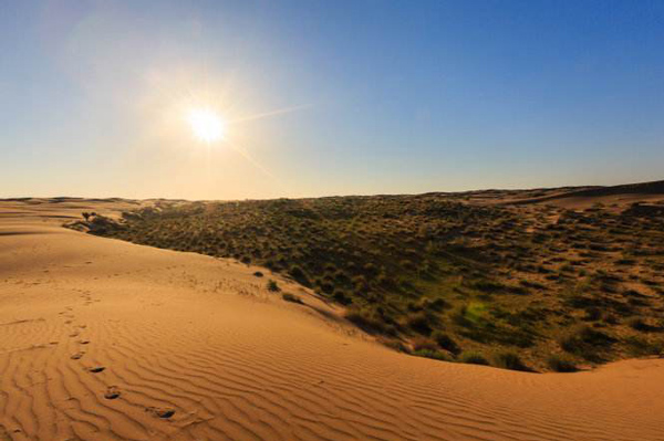 AV-塞內(nèi)加爾-COTECNA辦理流程_非洲海運(yùn)_旭洲物流 AV-塞內(nèi)加爾-COTECNA辦理流程_非洲海運(yùn)_旭洲物流