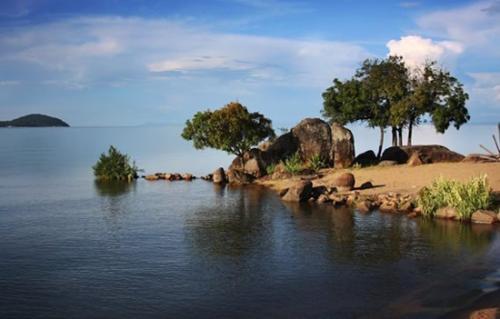 馬拉維進出口商品檢驗檢疫規(guī)定_非洲海運_旭洲物流