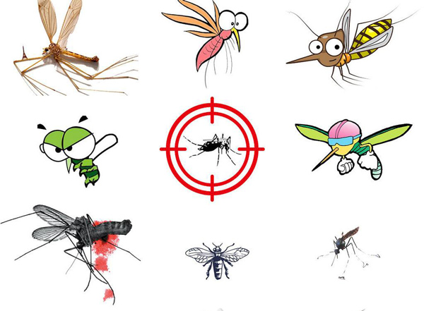 未來(lái)殺幼蟲(chóng)劑市場(chǎng)如何_農(nóng)藥出口_旭洲物流