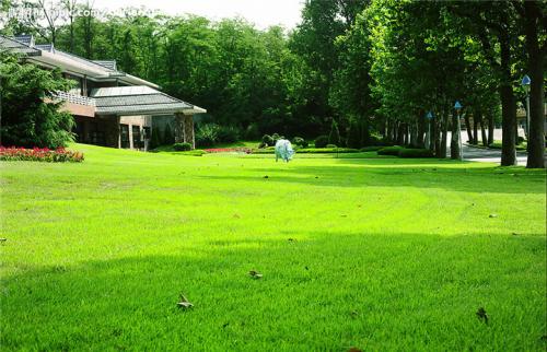 肯尼亞進(jìn)口哪些產(chǎn)品_非洲海運(yùn)_旭洲物流 肯尼亞進(jìn)口哪些產(chǎn)品_非洲海運(yùn)_旭洲物流