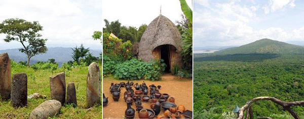 埃塞俄比亞農(nóng)業(yè)發(fā)展情況_出口埃塞俄比亞_旭洲物流