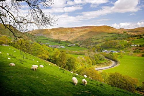 英國最新農(nóng)藥情況_出口農(nóng)藥_旭洲物流 英國最新農(nóng)藥情況_出口農(nóng)藥_旭洲物流