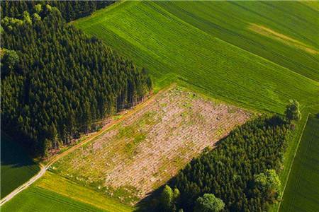 英國最新農(nóng)藥情況_出口農(nóng)藥_旭洲物流 英國最新農(nóng)藥情況_出口農(nóng)藥_旭洲物流