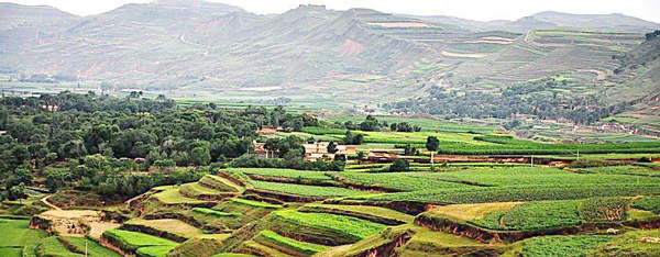 緬甸禁止進口名單_農(nóng)藥出口_旭洲物流 緬甸禁止進口名單_農(nóng)藥出口_旭洲物流