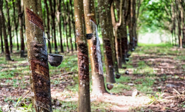 加納出口產(chǎn)品有哪些？_非洲物流_上海旭洲