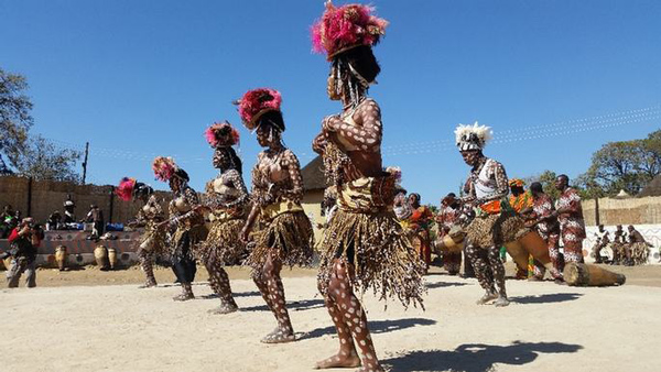 加納家禽產(chǎn)業(yè)_出口非洲_上海旭洲