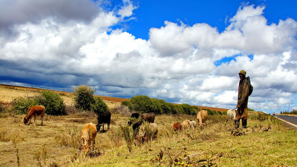 肯尼亞電力基礎(chǔ)設(shè)施出口_肯尼亞雙清_旭洲物流 肯尼亞電力基礎(chǔ)設(shè)施出口_肯尼亞雙清_旭洲物流