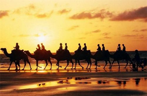 旭洲物流告訴您為什么非洲大部分創(chuàng)業(yè)者都聚焦于太陽能行業(yè)_非洲海運_旭洲物流