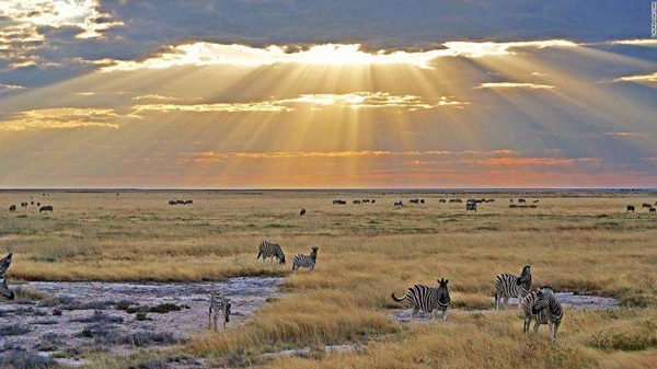 埃塞俄比亞航空公司_非洲物流_上海旭洲 埃塞俄比亞航空公司_非洲物流_上海旭洲