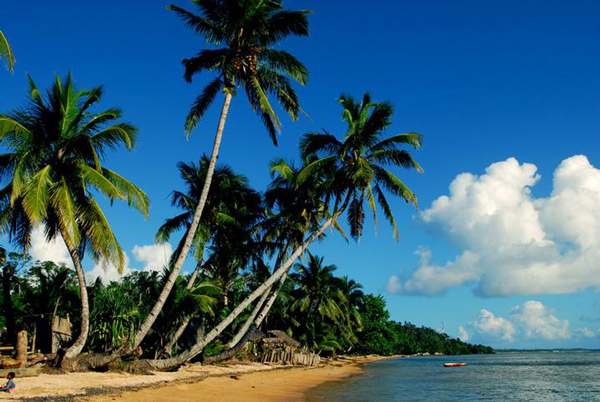 在馬達(dá)加斯加投資_專(zhuān)業(yè)非洲貨代_旭洲物流